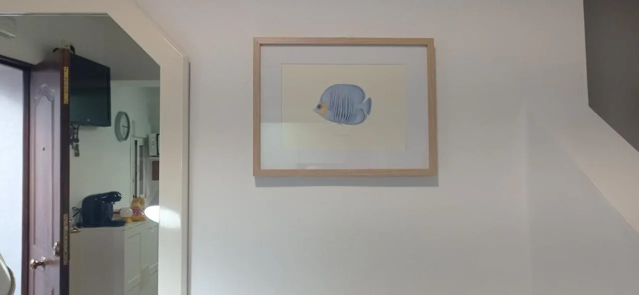 Apartment Geranio Chipionahome Spain